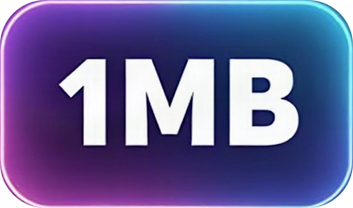 1MB